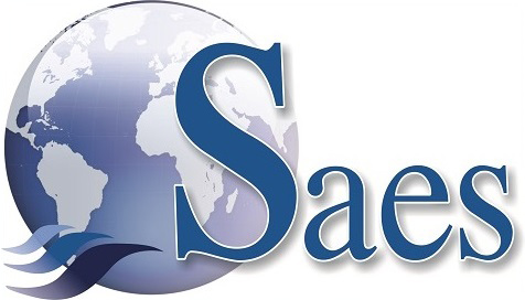 Saes - Safety Engineering Services